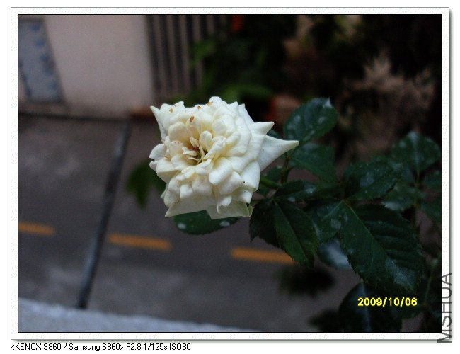 SDC11779_nEO_IMG.jpg