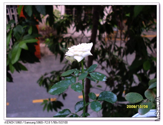 SDC11782_nEO_IMG.jpg