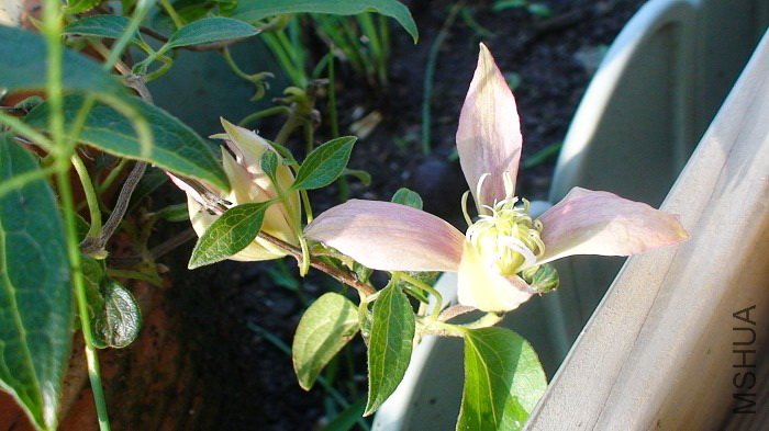 9-4�գ�С���Ķ������ٿ�������