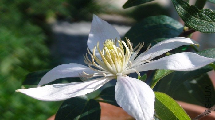 8-27�գ��ֿ���һ�䣡����ֱ���˴���ɫ��������Ͼ��