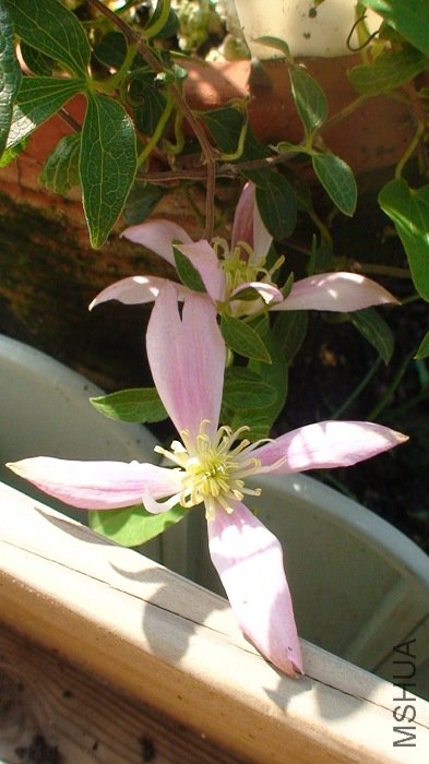 9-5�գ����ô�Щ�ˣ��ǲ��Ǻ�������