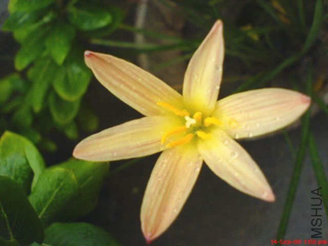 DSC04447.jpg