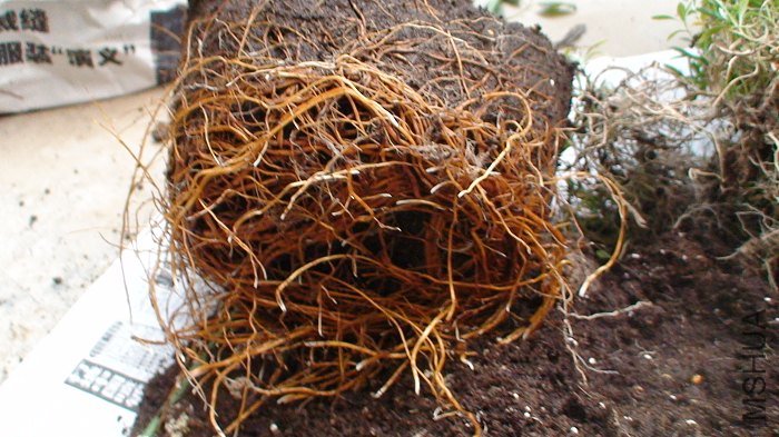 ������һ�£��Ϳ��Կ�����ϵ�Ѿ��ܲ����ˣ�