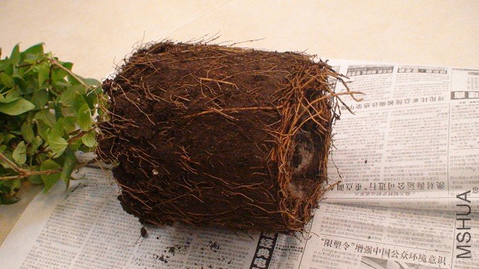 ���Ǹ���������ӣ�