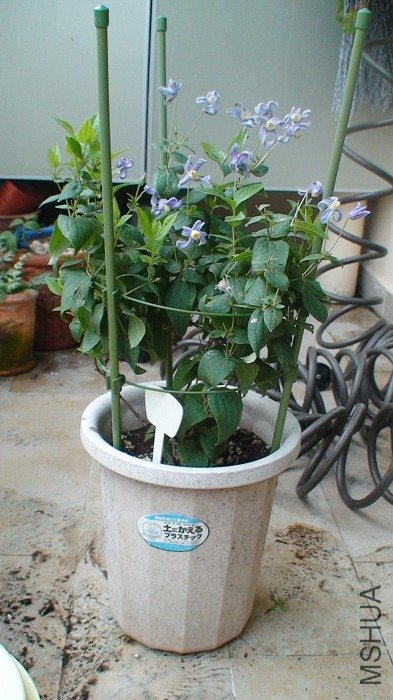 9-9�գ�����ǳ����������ǰȫ���ա����Կ����������ڲ��ϵؿ��ţ����ǲ���������ʱ��������ģ���ʵ���ǵֲ� ...