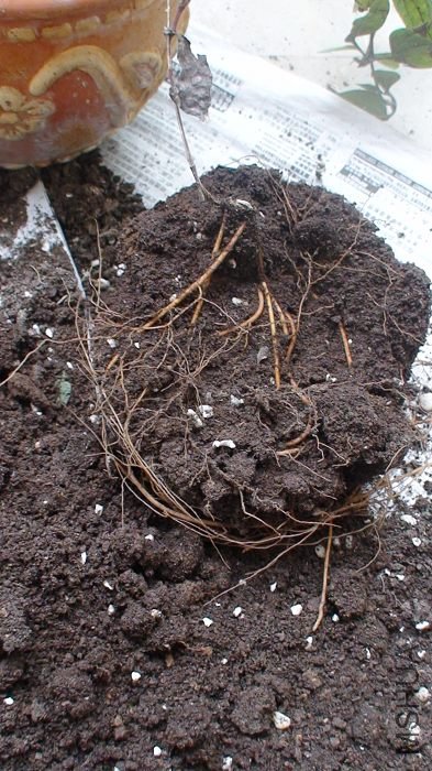 �������������ա�������ʱ��������������