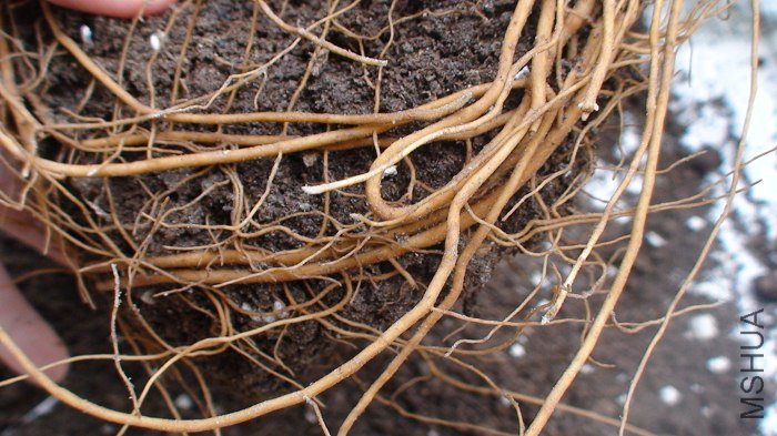 ����дһ�£����ܴ�׳�ɣ�