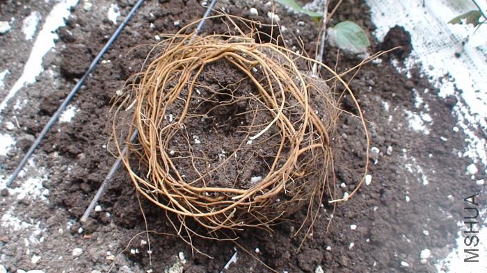 ���������������ײ��ĸ��Ѿ����ˡ�