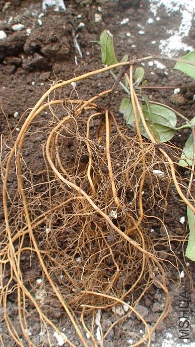 ��дһ�£���ϵ���ǽ�������ʱ��������һ�ڣ��µĸ�����ĵط����˳������������ʱֻ���������Ķ�������