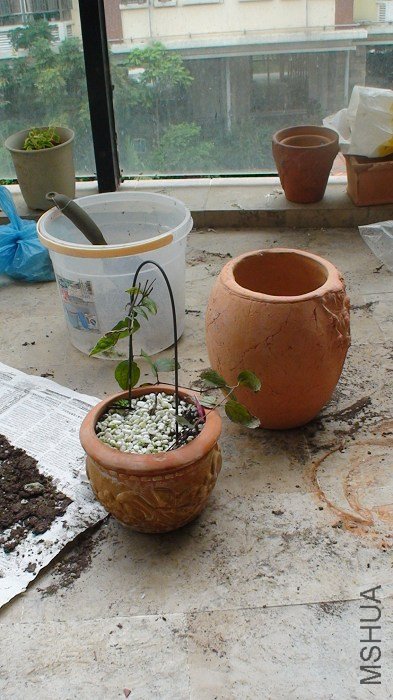 9-10�ջ��裬����������ǰ��ȫ���գ���ʱֻ�������������Ը���ֻ���˸�СС�裬���������Աߵľ���׼������ ...