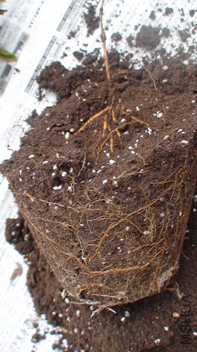 ��ʵ�ϲ��İ����������ǰ׷ѵģ���Ϊ��ȫ�ۼ��ڵײ���