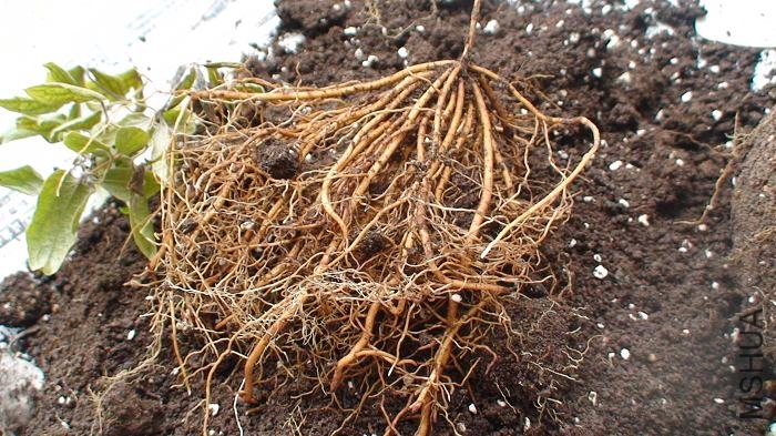 ������дһ�¡��̴ܶ��ǰɣ�����Ҳ�������˸�6�ŵİ��裬Ӧ�ù�ס�ˡ�