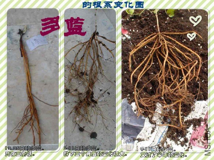 ����������Ա�ͼ������ʱ��������ʱ��9����ʱ�ĸ�ϵ�Աȣ�