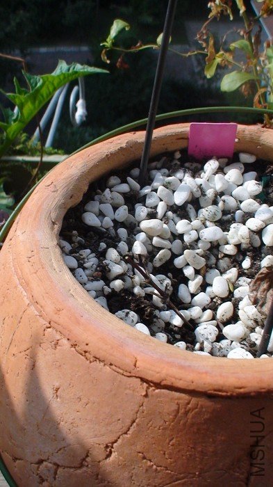 ��Ϊ�������Ȼ�ͳ����Ҹɴ������ǿ���ˣ���һ���ͼ�ɵ���ˣ�һֱ��10-12�ղ�ð���˼�С����ѿ����