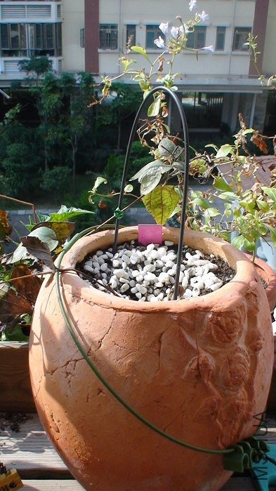 ����10-7�գ������һ���µ����ӡ�����ֲ�������ͳ���״̬��