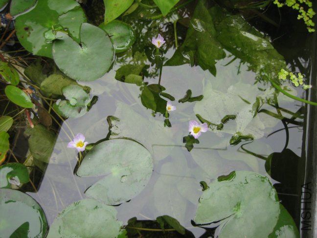 ��Ƭ2009 140.jpg