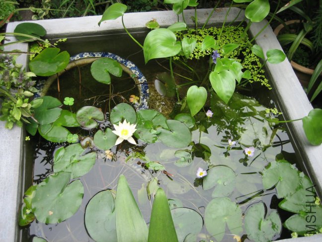 ��Ƭ2009 149.jpg