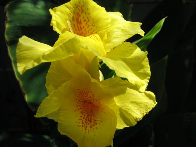 ˮ�����˽��Ļ�