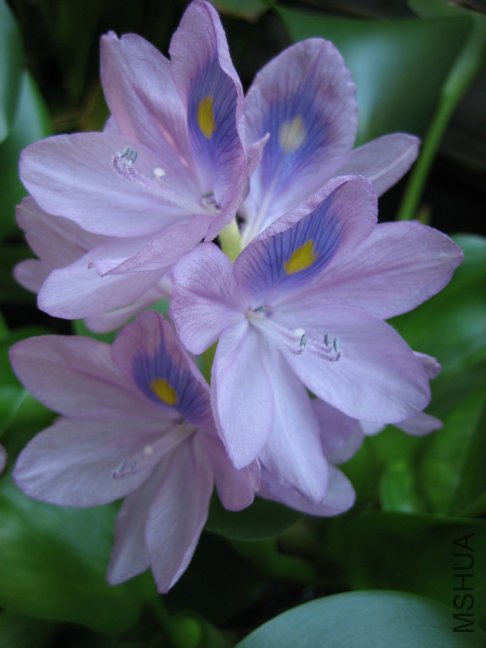 ��Ƭ2009 227.jpg