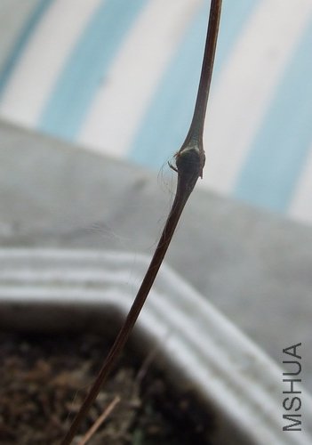 ��ת DSCF1885.jpg