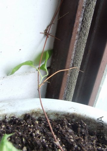 ��ת DSCF1884.jpg