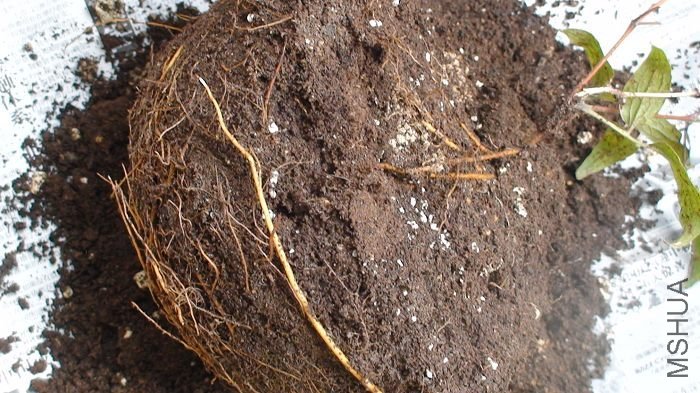 ���Ǹ�����ʱ�����ӡ��ϰ벿������������о������˷Ѱ���