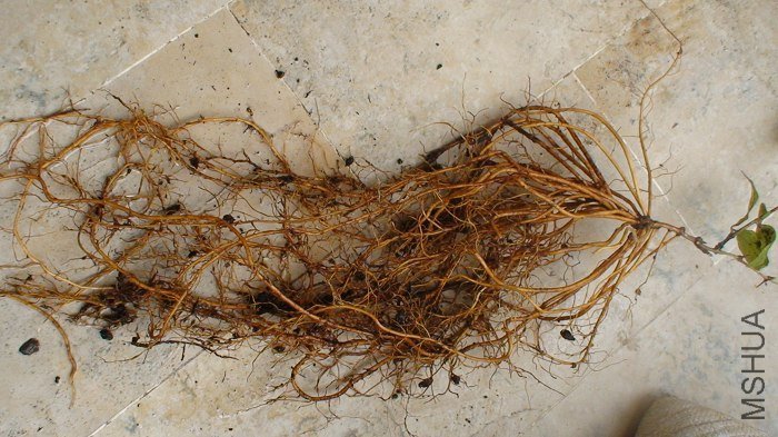 �������������о����ĸ���һ��ŭ�ŵĸо���