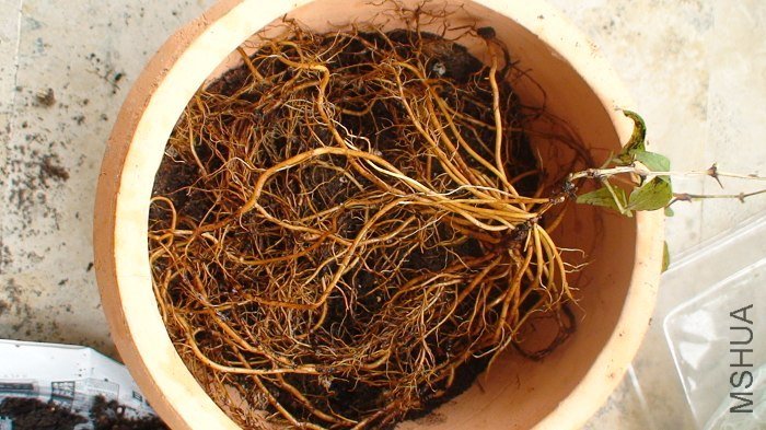 ���һ�ţ��ٿ��������ĸ�ϵ��