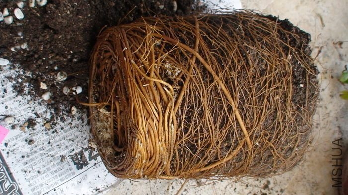 9-22�գ�һȡ������������һ����������û����������ô���񡱵ĸ�����