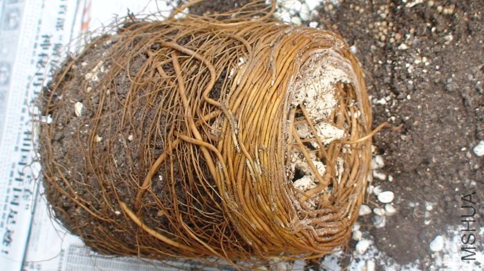 ���Ҳ����ô�ʰ���