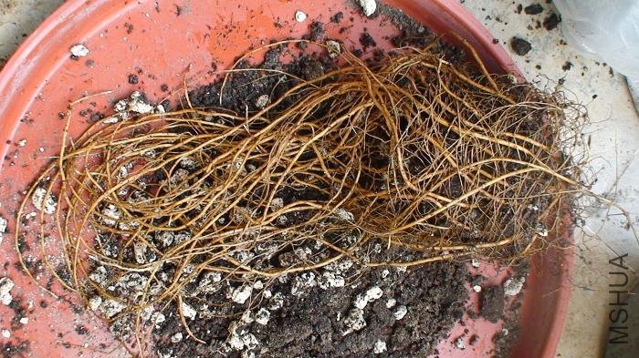 ��ɢ��һ�㣡�����3���вŵ���ֻ���������������������Լ����ڻ����Լ����۾���