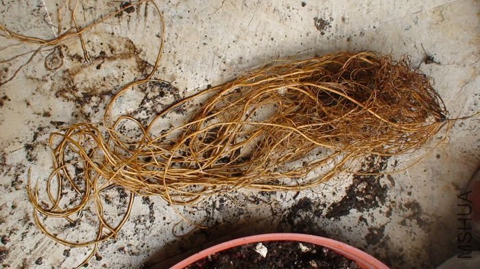 ���ϲ��ĸ�ϵҲϴ������������˳�˵ĵײ���ϵ�Եø����ˣ������ִֵĸ����������Ѿ�˵����������