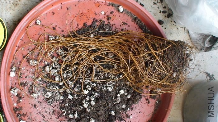 ���ڽ���ײ��̽�ĸ�ϵȫ�⿪�ˣ�ԭ�����ĸ�����ô������