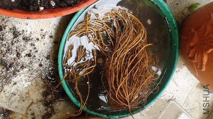 3-16�յ������������������9-22�ջ��衪���������ð���ĳɼ���������̫����˼���˰ɣ�