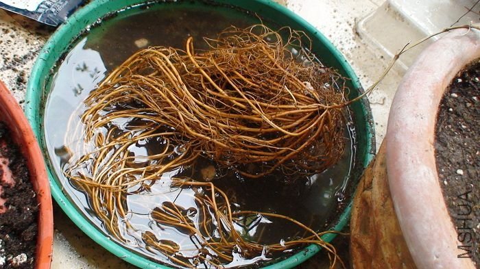 �����Ƕ��ٿ������ϲ�������ϴ���ĸ�������������ģ���á����������ñ�����������׳��������ĸ�ϵ��Ҫ ...