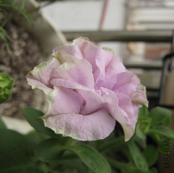 2009-10-13 ��һ������-����ȫ��.jpg