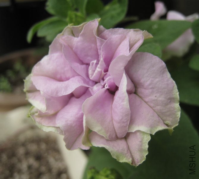 2009-10-13 ����.jpg