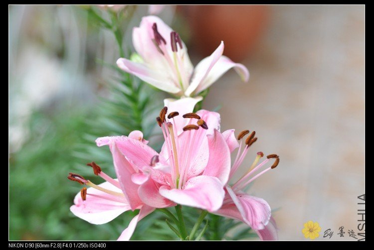 nEO_IMG_��Ƭ 067.jpg