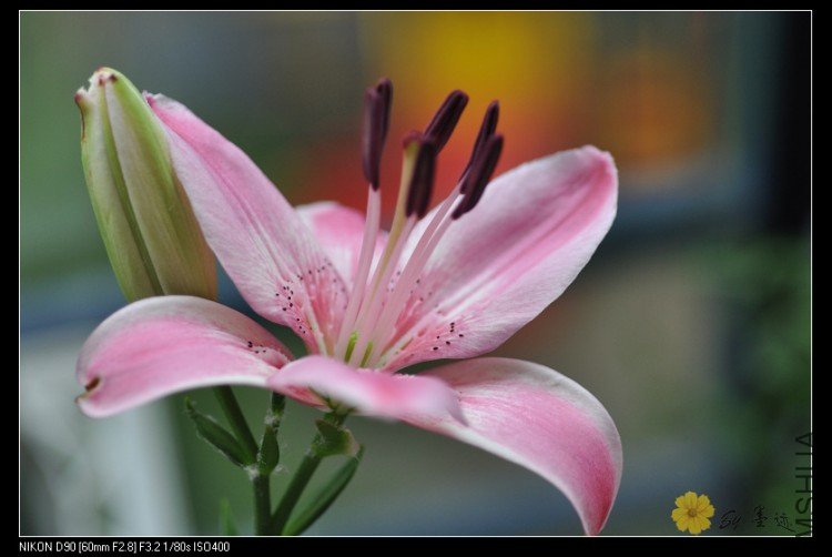 nEO_IMG_��Ƭ 058.jpg
