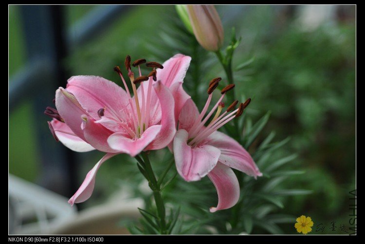 nEO_IMG_��Ƭ 057.jpg