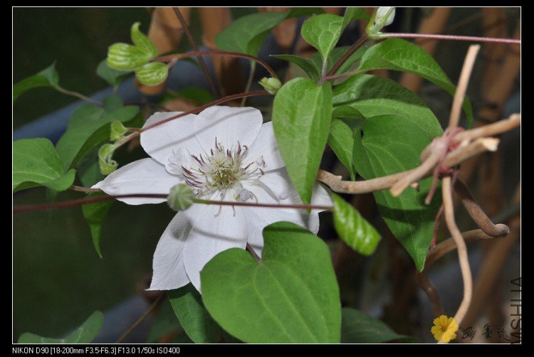 nEO_IMG_��Ƭ 016.jpg