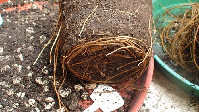 �ײ���ϵ��дһ�¡�