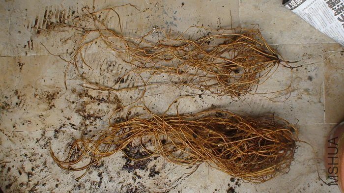 ��������ǿ���ʯ��׵����������Ա�һ�¡����棺�����ϣ����棺�����١������ٵĸ�ϵ����Ҫǿ��ܶࡣ