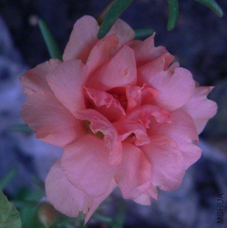 P1080532.JPG