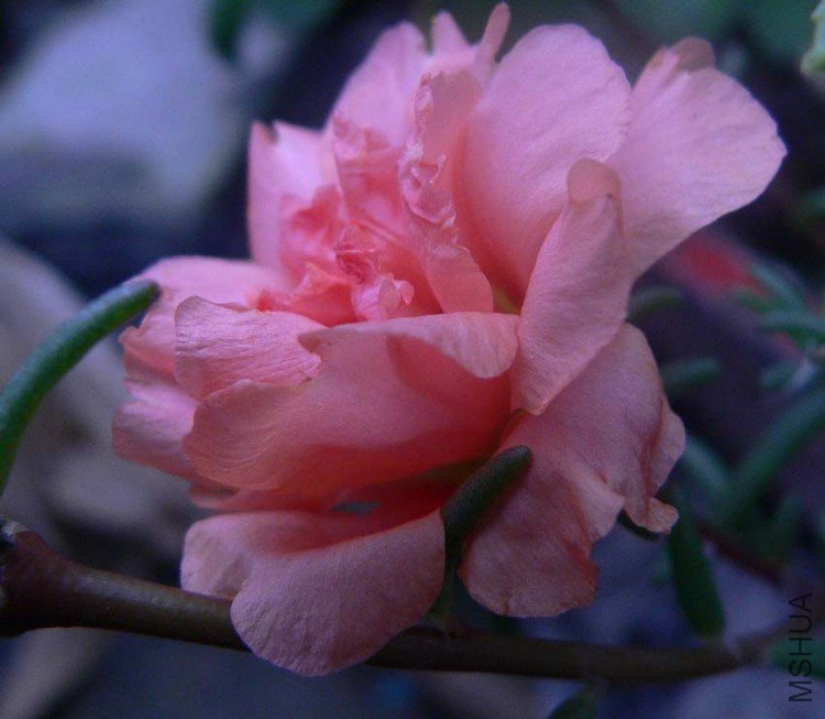 P1080534.JPG