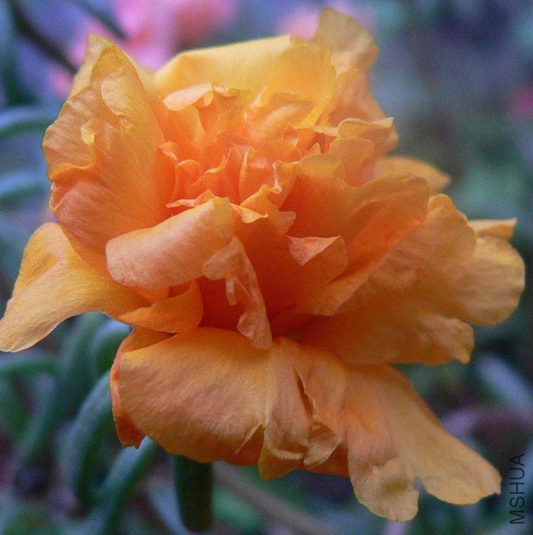 P1080540.JPG