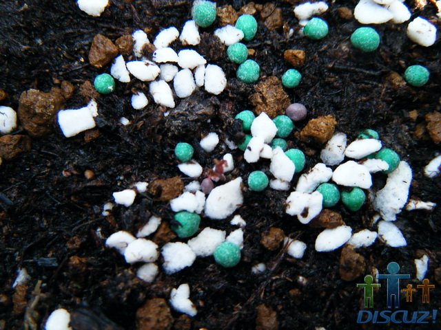 �ٴ�����ʶ