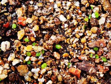 ��ѿ����ʯ��