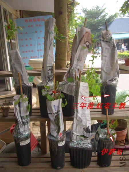 2009.10.21İ�϶����� 007-1.jpg