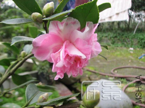 ���Ѻ�֮��